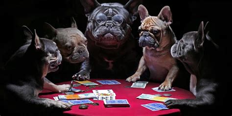 gambling addiction quotes|20 Wise & Wild Gambling Quotes: What Do They .